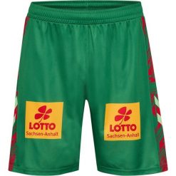 Krótki domowy strój FC Magdeburg 2025/26. Zielone szorty Hummel, l, bez wzorów, sportowe. Za 225.00 zł.
