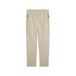 Spodnie Puma Evostripe Pants Dk Dorośli. Szare spodnie treningowe długie Puma, s, bez wzorów, z bawełny. Za 269.99 zł.