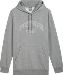 Bluza sportowa męska Puma Ess Logo LAB Gradient Hoodie FL. Szare bluzy z kapturem Puma, l, bez wzorów, z bawełny, z kapturem. Za 179.00 zł.