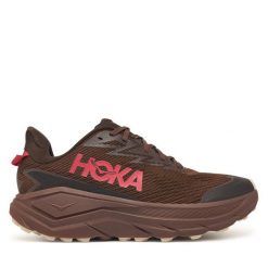 Buty do biegania Hoka. Brązowe buty do biegania HOKA, bez wzorów, z gore-texu, bez zapięcia, do biegania, gore-tex. Za 819.99 zł.