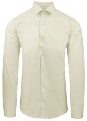 Pistacjowa Koszula Bawełniana o Taliowanym Kroju, Jednokolorowa. Zielone koszule Pazzani, bez wzorów, z bawełny, bez kołnierzyka, bez ramiączek. Za 169.00 zł.