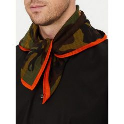 Chusta Polo Ralph Lauren. Zielone szaliki Polo Ralph Lauren, bez wzorów. Za 369.99 zł.