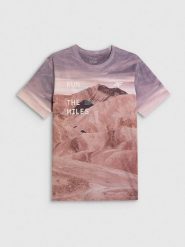 4F T-shirt regular z nadrukiem męski - multikolor L. T-shirty 4F, l, bez wzorów, z materiału, bez kołnierzyka, bez ramiączek. Za 99.99 zł.