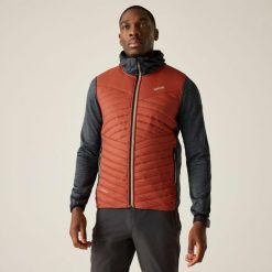 Męska kurtka pikowana Andreson Marl Hybrid. Brązowe kurtki Regatta, m, bez wzorów, z poliamidu, bez kaptura. W wyprzedaży za 229.99 zł.