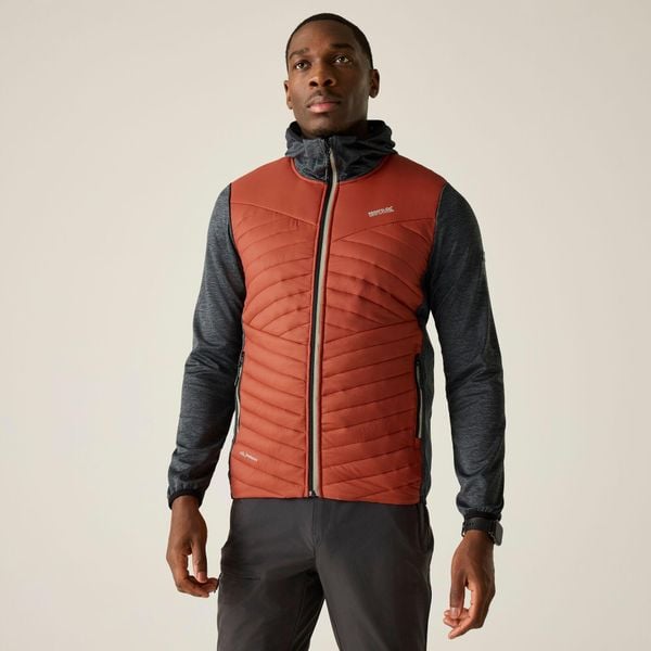 Męska kurtka pikowana Andreson Marl Hybrid. Brązowe kurtki Regatta, m, bez wzorów, z poliamidu, bez kaptura. W wyprzedaży za 229.99 zł.