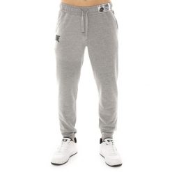 Spodnie dresowe Leone 1947 Apprel z gumką i sznurkiem. Idealne na co dzień. Szare spodnie materiałowe LEONE 1947 APPAREL, na co dzień, bez wzorów, z bawełny, sportowe. W wyprzedaży za 112.15 zł.