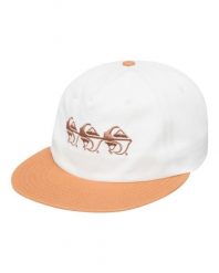 Czapka Snapback dla Mężczyzn QS FRASSNASSA Brązowy. Brązowe czapki z daszkiem Quiksilver, bez wzorów, z bawełny. Za 140.35 zł.