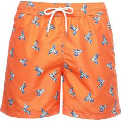 Polo Ralph Lauren TRAVELER Szorty kąpielowe hummingbirds. Kąpielówki marki Polo Ralph Lauren. Za 339.00 zł.