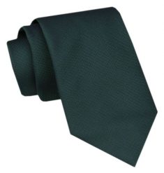 Modny Krawat Męski - Alties - Butelkowa Zieleń, Jednokolorowy. Zielone krawaty i muchy Alties, bez wzorów, z tkaniny. Za 49.00 zł.