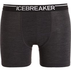 Icebreaker ANATOMICA Bokserki jet heather/black. Bokserki marki Icebreaker. Za 159.00 zł.