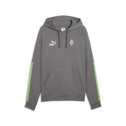 Męska bluza z kapturem Borussia Mönchengladbach FtblKING PUMA. Szare bluzy z kapturem Puma, m, bez wzorów, z bawełny, z kapturem. Za 299.00 zł.