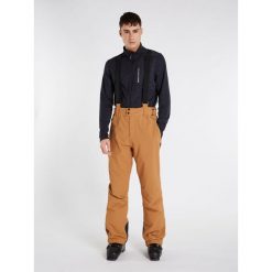 Spodnie męskie Protest PRTSARDIS snowpants. Brązowe spodnie narciarskie i snowboardowe Protest, m, bez wzorów, narciarskie. Za 399.00 zł.