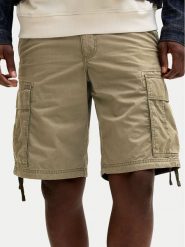 Jack & Jones Szorty materiałowe Cole Frank 12291369 Zielony Regular Fit. Zielone szorty Jack & Jones, m, bez wzorów, z bawełny. Za 159.99 zł.