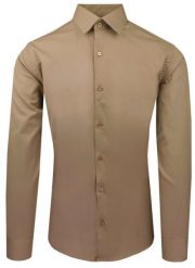 Brązowa Koszula Bawełniana o Taliowanym Kroju, Jednokolorowa. Brązowe koszule Pazzani, bez wzorów, z bawełny, bez kołnierzyka, bez ramiączek. Za 169.00 zł.