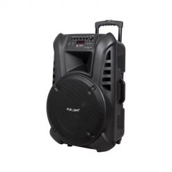 Kolumna aktywna 2 mikrofony, Bluetooth, aku. Głośniki przenośne No name. Za 890.99 zł.