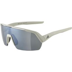Okulary przeciwsłoneczne Alpina Turbo HR. Szare okulary przeciwsłoneczne Alpina. Za 300.00 zł.