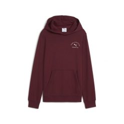 Młodzieżowa bluza z kapturem PUMA Class z grafiką PUMA Ruby Shimmer Red. Czerwona bluzy z kapturem Puma, m, bez wzorów, z kapturem. Za 229.00 zł.