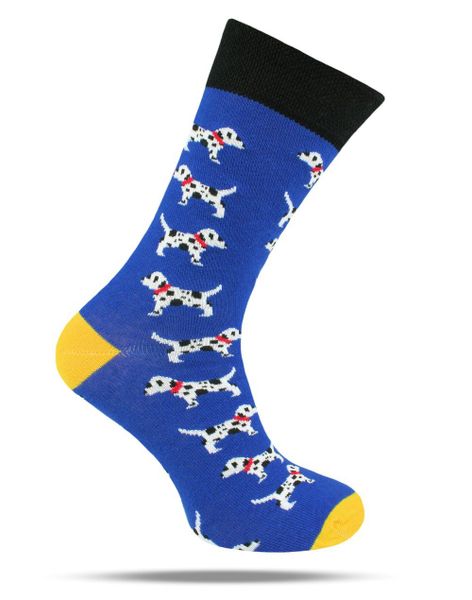 Skarpetki Bawełniane - Tematyczne - Niebieskie w Dalmatyńczyki. Niebieskie skarpety His Story, bez wzorów, z bawełny. Za 29.99 zł.