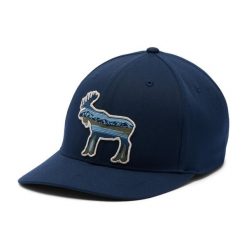 COLUMBIA Czapka z daszkiem Lost Lager 110 Snap Back colegiate navy. Niebieskie czapki z daszkiem Columbia, na lato, bez wzorów. Za 73.40 zł.
