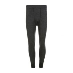 Legginsy Whistler Bradley. Szare bielizna termoaktywna WHISTLER, na zimę, m, bez wzorów, bez ramiączek, narciarskie. Za 233.50 zł.