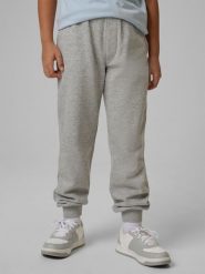 Spodnie dresowe joggery chłopięce 4F 4FJRMM00TTROM1823. Szare joggery i bojówki 4F, bez wzorów, z bawełny, sportowe. Za 79.99 zł.