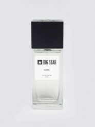 Woda perfumowana męska drzewno-owocowo-morska Hawk N 100 ml. Perfumy męskie BIG STAR. Za 99.99 zł.