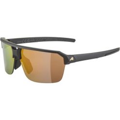 Okulary przeciwsłoneczne Alpina SWIFT HR. Czarne okulary przeciwsłoneczne Alpina. Za 245.50 zł.