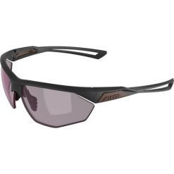 Okulary przeciwsłoneczne Alpina Nylos HR. Szare okulary przeciwsłoneczne Alpina. Za 139.99 zł.