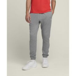 Spodnie tenisowe męskie Wilson Team Jogger. Szare joggery i bojówki Wilson, m, bez wzorów, sportowe. Za 219.99 zł.