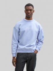Męska Bluza Tom Tailor Relaxed Printed Crewneck Brunnera Blue 1045579 11486. Niebieskie bluzy Tom Tailor, l, bez wzorów, bez kaptura. Za 119.99 zł.