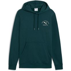 Bluza z kapturem Puma Class Graphic Hoodie, Mężczyźni. Zielone bluzy z kapturem Puma, m, bez wzorów, z bawełny, z kapturem. Za 390.00 zł.