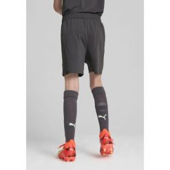 Młodzieżowe szorty AC Milan 24/25 PUMA Shadow Gray Fresh Mint Green. Szara szorty Puma, m, bez wzorów, młodzieżowe. W wyprzedaży za 114.00 zł.