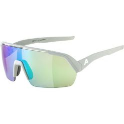 Okulary przeciwsłoneczne Alpina Turbo HR. Szare okulary przeciwsłoneczne Alpina. Za 275.00 zł.