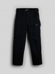 4F Spodnie narciarskie 4F PRO z ociepliną Primaloft membrana Dermizax 20000 męskie - czarne L. Czarne spodnie narciarskie i snowboardowe 4F, l, bez wzorów, narciarskie, Dermizax. Za 1,199.99 zł.