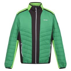Męska Kurtka Halton VII Contrast Panel Baffled Padded Jacket. Zielone kurtki Regatta, m, bez wzorów, z puchu, bez kaptura. Za 137.99 zł.