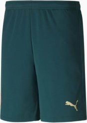 Męskie spodenki Puma Figc Trhird Shorts Replica Green. Zielone krótkie spodenki sportowe Erima, m, z aplikacjami, z dzianiny. Za 225.99 zł.