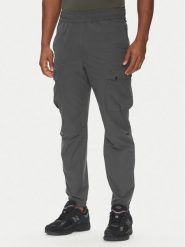 Parajumpers Joggery Rescue Zander 25SMPMPARR01 Szary Tapered Fit. Szare joggery i bojówki Parajumpers, m, bez wzorów, z syntetyku. Za 749.99 zł.