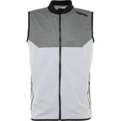 Under Armour UNSTOPPABLE GORE BOMBER VEST Kamizelka charcoal/overcast gray/black. Kamizelki sportowe marki High Point. W wyprzedaży za 407.20 zł.