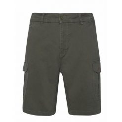Spodenki cargo Protest Prtnytro. Zielone szorty Protest, s, bez wzorów, z bawełny, sportowe. Za 270.00 zł.