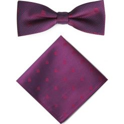 Mucha z poszetką MUA0001362. Krawaty i muchy Giacomo Conti. Za 69.00 zł.