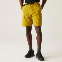 Męskie spodenki Mallen. Brązowe szorty Regatta, m, bez wzorów, z tkaniny, sportowe. Za 173.00 zł.