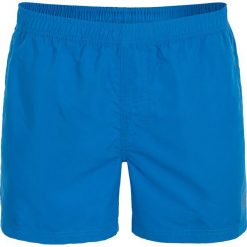 Spodenki męskie SKMT300 - niebieski. Krótkie spodenki sportowe marki 4F. W wyprzedaży za 34.99 zł.