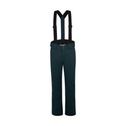 Spodnie narciarskie męskie ZIENER Taga. Zielone spodnie narciarskie i snowboardowe Ziener, m, bez wzorów, narciarskie. Za 629.99 zł.