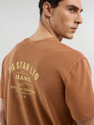 Koszulka męska z nadrukiem na plecach brązowa Samuel 803. Brązowe t-shirty BIG STAR, l, bez wzorów, z dzianiny, bez kołnierzyka, bez ramiączek. Za 119.99 zł.