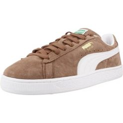 Buty PUMA YELLOW 39978141 Brązowy. Brązowe buty turystyczne Puma, bez wzorów, ze skóry, bez zapięcia, na fitness i siłownię. Za 357.99 zł.