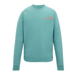 Bluza Męska Z Nadrukiem Na Plecach Nithsdale. Niebieskie bluzy z kapturem Regatta, l, bez wzorów, z bawełny, z kapturem. Za 141.99 zł.