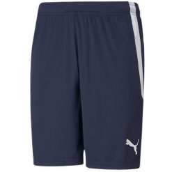 Męskie Spodenki Team Liga. Niebieskie szorty Puma, m, bez wzorów, sportowe. Za 117.99 zł.