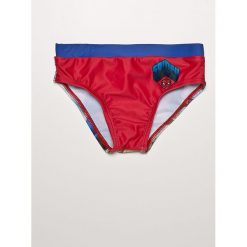 Blukids - Kąpielówki dziecięce Spiderman 104-128 cm. Odzież kąpielowa marki Blukids, z motywem z bajki, z dzianiny. Za 49.90 zł.