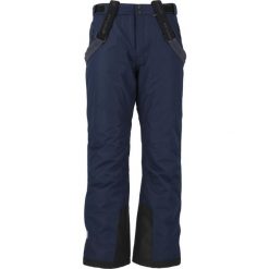Spodnie narciarskie męskie Fairfax W-PRO 10000. Czarne spodnie narciarskie i snowboardowe WHISTLER, m, bez wzorów, narciarskie. Za 299.99 zł.