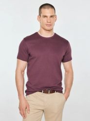 Koszulka męska z kontrastowym wykończeniem bordowa micel 604. Czerwone t-shirty BIG STAR, l, bez wzorów, z dzianiny, bez kołnierzyka, bez ramiączek. Za 99.99 zł.